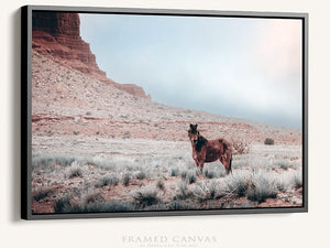 Wild Horse wall art – rustic Western fine art print by Debra Gail Fine Art