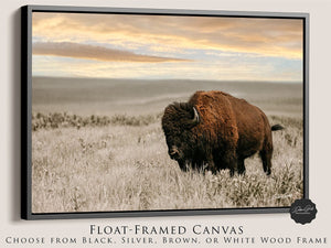 Buffalo wall art – Great Plains wildlife wall decor by Debra Gail Fine Art