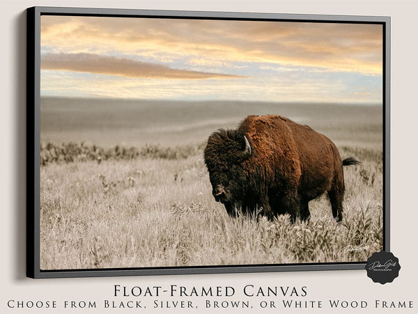 Debra Gail Fine Art Black Framed Canvas / 10x8 SUNSET PHOTOGRAPHY - THE BISON BULL