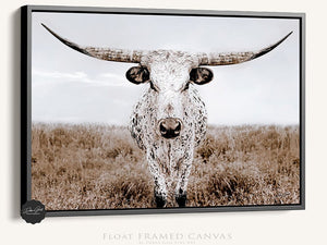 Texas Longhorn wall canvas barnwood framed Western fine art print by Debra Gail Fine Art