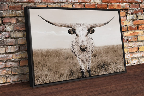 Debra Gail Fine Art Black Framed Canvas / 10x8 Texas Longhorn Canvas Wall Art No. 0505S