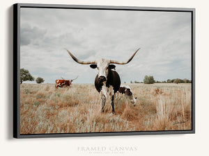 Longhorn cow wall decor canvas – rustic Western fine art print by Debra Gail Fine Art