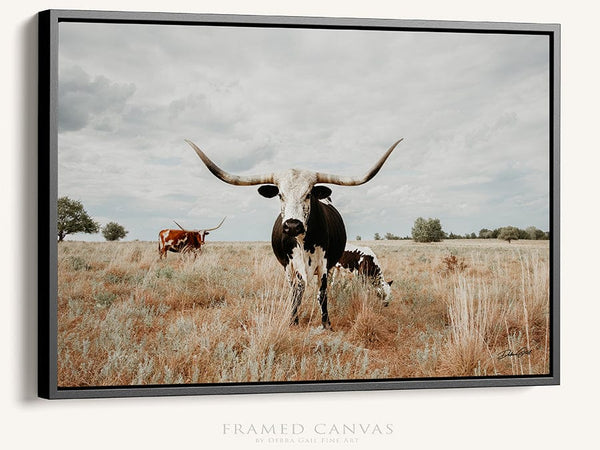 Debra Gail Fine Art Black Framed Canvas / 10x8 Texas Longhorn Cow with Her Calf - Farmhouse Art