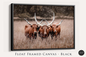 Texas longhorn canvas wall art Western style decor large cow print framed gallery