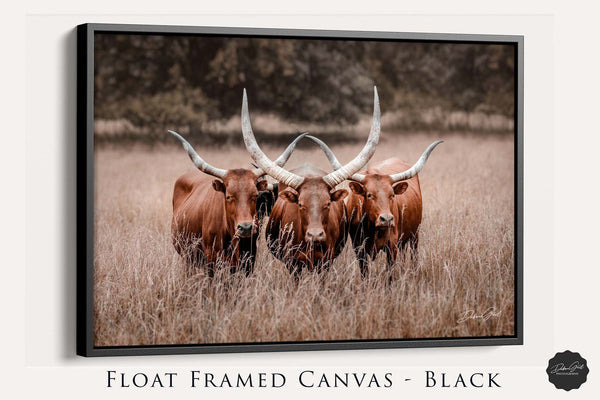 Debra Gail Fine Art Black Framed Canvas / 10x8 Texas Longhorn Watusi Canvas Art Print - Western Style