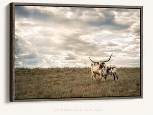 Longhorn wall decor – rustic Western fine art print by Debra Gail Fine Art