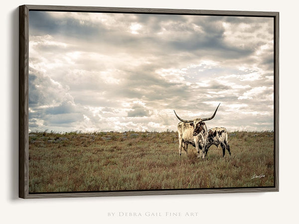 Debra Gail Fine Art Black Framed Canvas / 10x8 Texas Longhorns Under Dramatic Sky | Western Rustic Fine Art Photography