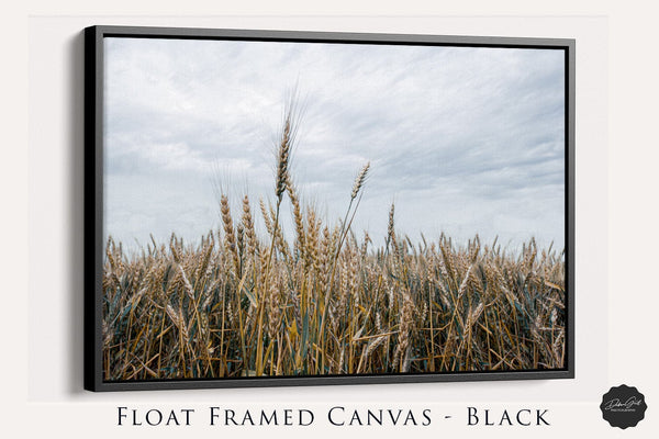 Debra Gail Fine Art Black Framed Canvas / 10x8 WHEATFIELD NATURE PHOTOGRAPHY - RURAL KANSAS LANDSCAPE ART