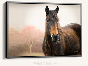 Wild Horse wall art – rustic Western fine art print by Debra Gail Fine Art