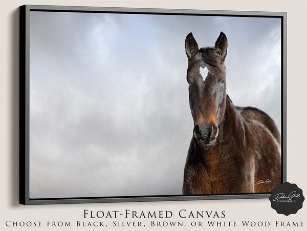 Debra Gail Fine Art Black Framed Canvas / 10x8 WILD HORSE HEART - NATURE PHOTOGRAPHY ART PRINT