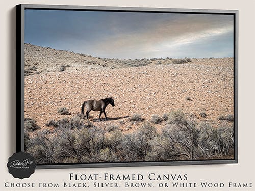 Debra Gail Fine Art Black Framed Canvas / 10x8 WILD MUSTANG PHOTOGRAPHY - SOUTHWESTERN DECOR