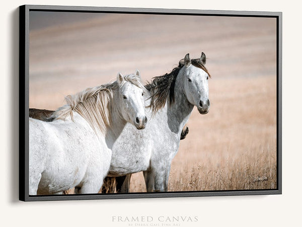 Debra Gail Fine Art Black Framed Canvas / 18x12 MUSTANG HORSE PRINT - PERFECT FOR HORSE LOVERS