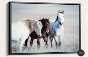 Wild horses wall art canvas print – rustic flint hills prairie farmhouse western decor