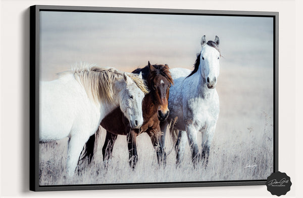 Debra Gail Fine Art Black Framed Canvas / 18x12 WILD HORSES PRINT - FLINT HILLS WALL ART