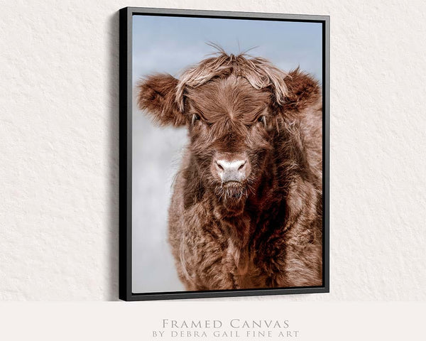 Debra Gail Fine Art Black Framed Canvas / 8x10 ADORABLE HIGHLAND COW CALF ART PRINT - FARMHOUSE DECOR