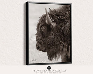 Bison wall art – rustic prairie photography print by Debra Gail Fine Art