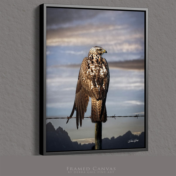 Debra Gail Fine Art Black Framed Canvas / 8x10 HAWK ON THE WIRE - WESTERN GOTHIC FINE ART PRINT