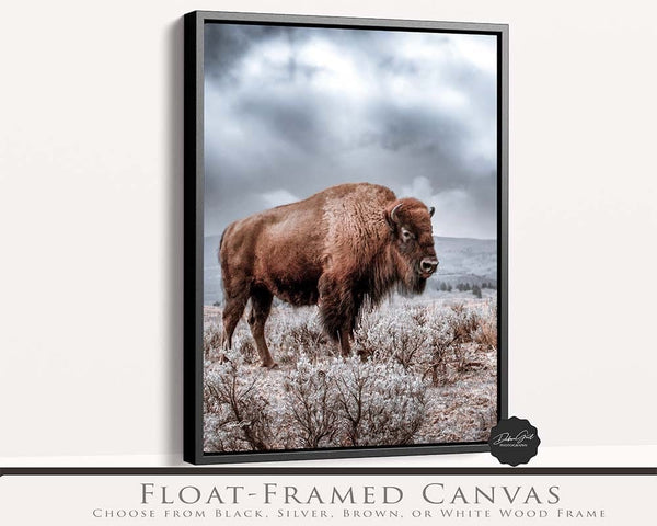 Debra Gail Fine Art Black Framed Canvas / 8x10 SPIRIT OF THE WILD WEST - BISON WESTERN DECOR