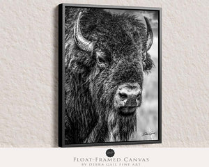 Bison wall art – neutral sepia rustic prairie photography print by Debra Gail Fine Art