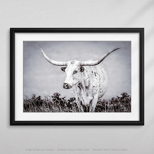 Longhorn wall decor – rustic Western fine art print by Debra Gail Fine Art
