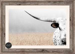 Texas Longhorn wall canvas barnwood framed Western fine art print by Debra Gail Fine Art
