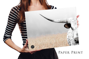 Texas Longhorn wall canvas barnwood framed Western fine art print by Debra Gail Fine Art