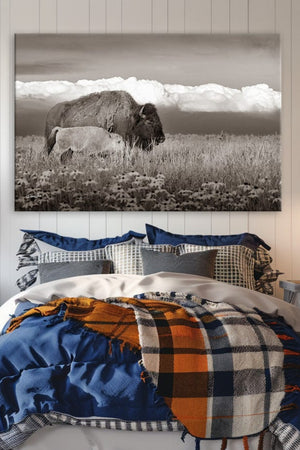Bison wall art – rustic prairie photography print by Debra Gail Fine Art