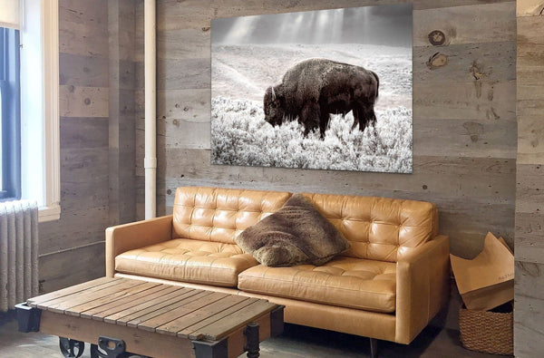 Debra Gail Fine Art BUFFALO WALL ART PRINT - NATURE LOVERS DECOR