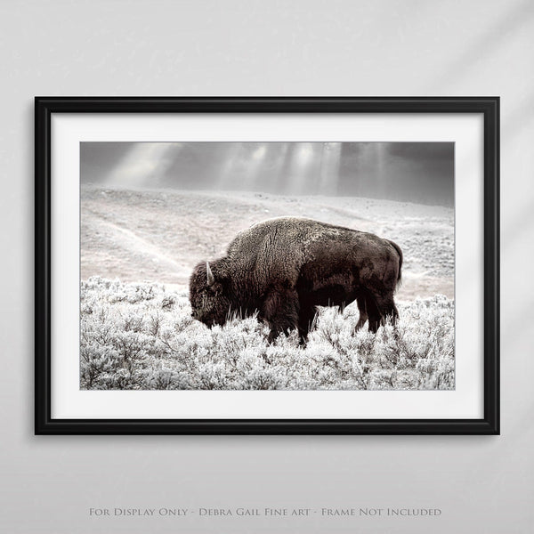 Debra Gail Fine Art BUFFALO WALL ART PRINT - NATURE LOVERS DECOR