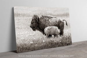 Bison wall art – rustic prairie photography print by Debra Gail Fine Art