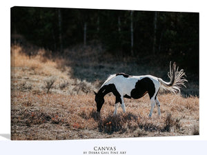 Wild Horse wall art – rustic Western fine art print by Debra Gail Fine Art