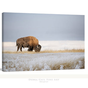 Bison wall art canvas artwork in rustic frame American buffalo Western decor