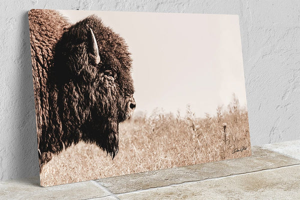 Debra Gail Fine Art Canvas Wrap / 10x8 Bison Close Up - Rustic Western Wall Art - Fine Art Canvas or Print