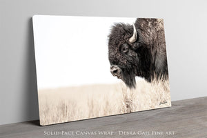 Bison wall art – rustic prairie photography print by Debra Gail Fine Art
