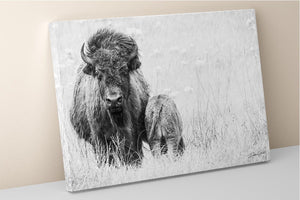 Bison wall art – rustic prairie photography print by Debra Gail Fine Art