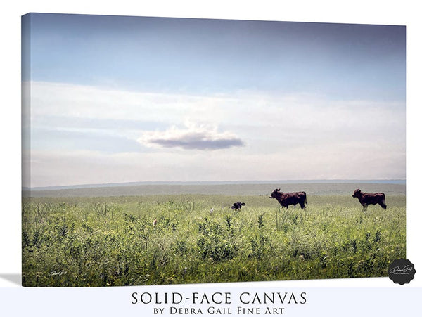 Debra Gail Fine Art Canvas Wrap / 10x8 BLACK ANGUS BEAUTIES - KANSAS PHOTOGRAPHY