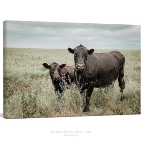 Debra Gail Fine Art Canvas Wrap / 10x8 Black Angus Cows Rustic Fine Art Photography | Western Farmhouse