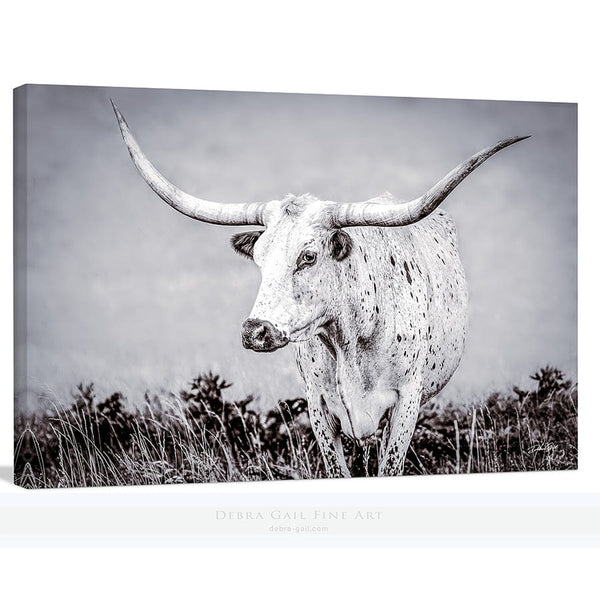 Debra Gail Fine Art Canvas Wrap / 10x8 Boho Western Decor Art - Longhorn Canvas Print