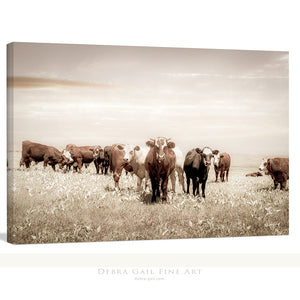 Cattle cow wall decor canvas – farmhouse fine art print by Debra Gail Fine Art