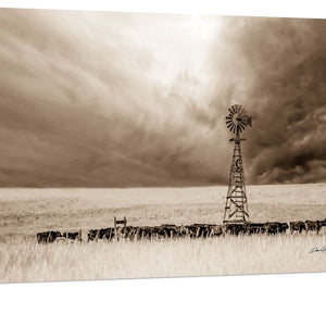 Debra Gail Fine Art Canvas Wrap / 10x8 Cattle at the Water | Nebraska Windmill Art Print No. 4793