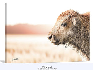 Bison wall art – rustic prairie photography print by Debra Gail Fine Art