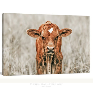Longhorn cow wall decor canvas – rustic Western fine art print by Debra Gail Fine Art