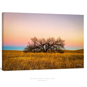 Kansas Flint Hills wall art – sunrise prairie landscape photography by Debra Gail Fine Art