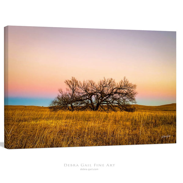 Debra Gail Fine Art Canvas Wrap / 10x8 Flint Hills Kansas Lone Tree at Sunset | Rustic Wall Art