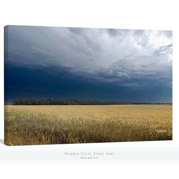 Debra Gail Fine Art Canvas Wrap / 10x8 GOLDEN WHEAT FIELD IN STORMY SKIES - FARMHOUSE DECOR