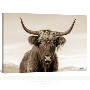 Highland cow wall art – rustic farmhouse fine art print by Debra Gail Fine Art