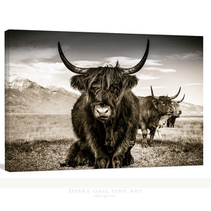 Highland cow wall art – rustic farmhouse fine art print by Debra Gail Fine Art