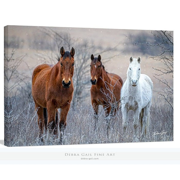 Debra Gail Fine Art Canvas Wrap / 10x8 HORSES IN WINTER - NATURE PHOTOGRAPHY DECOR