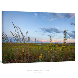 Kansas Flint Hills wall art – sunrise prairie landscape photography by Debra Gail Fine Art