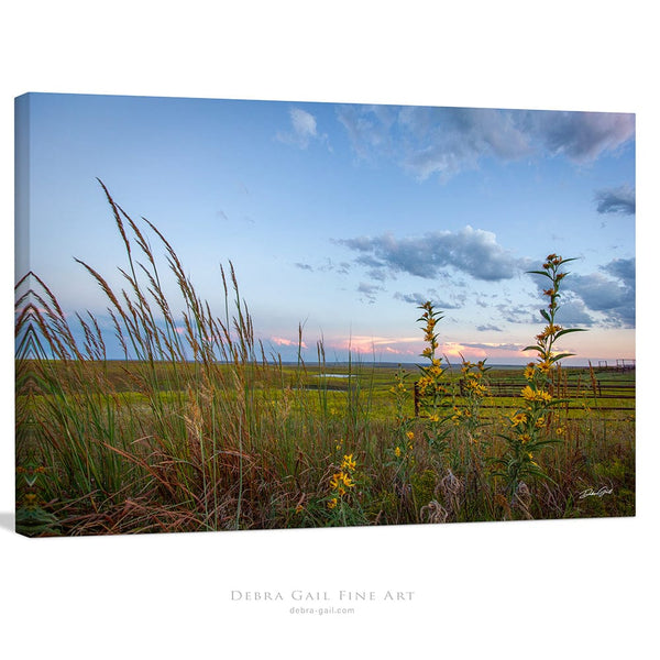 Debra Gail Fine Art Canvas Wrap / 10x8 Kansas Flint Hills Wildflowers Fine Art Print - Farmhouse Decor